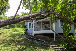 Storm damage and the need for a dumpster