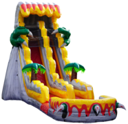 Wet & Dry Slides
