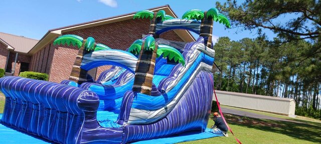 16' Tall Dry Slide with Palm Trees