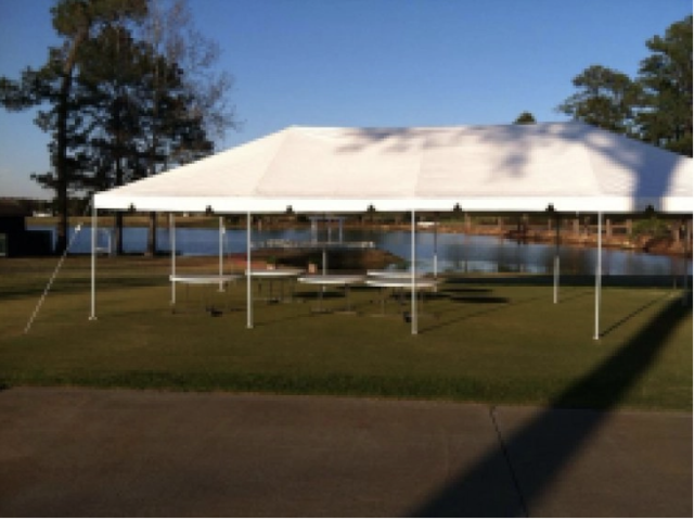 20 X 40 Green and White Tent (pole tent)