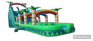22' Tall RAINBOW palm tree Slide with a Slip N Slide green and blue