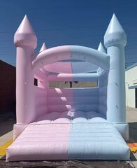 Pink and Blue Gender Reveal Castle