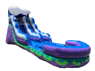 (49) purple plunge water slide