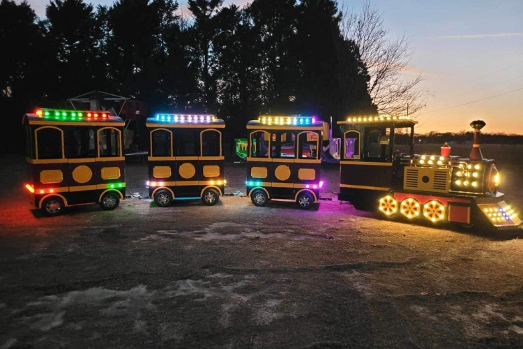 Mechanical Rides Rentals