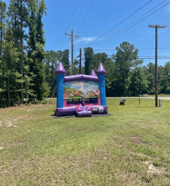Purple and blue bounce house from Boomin Bounce set up on a grassy outdoor field.