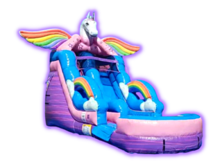 17ft Magical Unicorn Slide w/pool