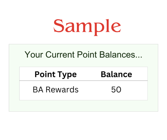 Sample Of Current Point Balance For BA Rewards Program