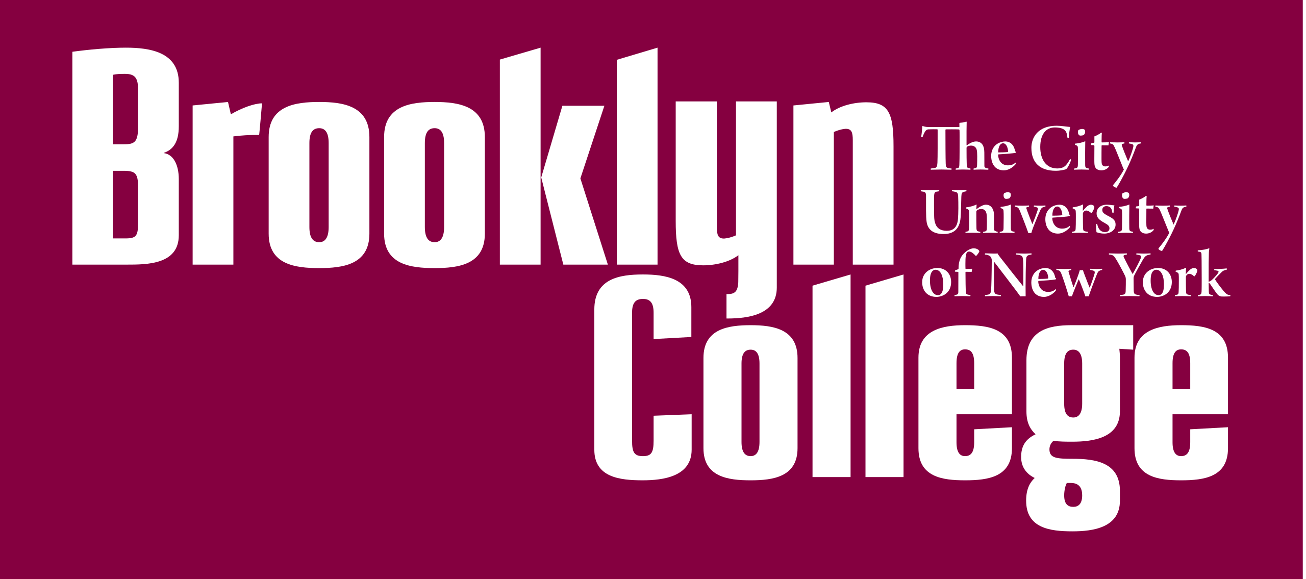 Brooklyn College Inflatables