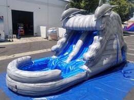 15 Ft Dolphin slide Double lane DT Pool