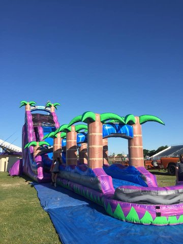 30 ft High Purple Crush Waterslide (pool)