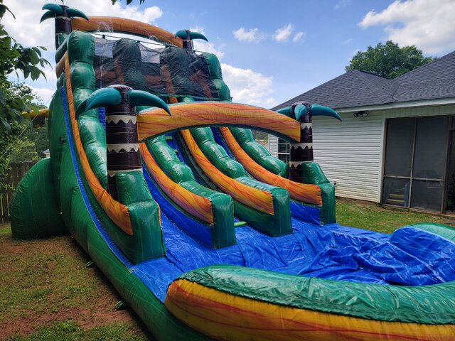 Tropical palm Tree Double Lane Water Slide