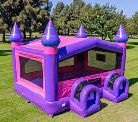 Giant Purple Castle with 2 Hoops
