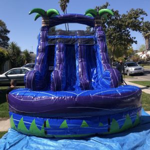 15 FT. TROPICAL RUSH DUAL LANE WATER SLIDE