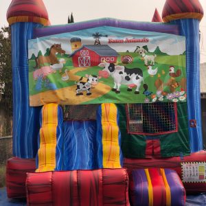 FARM ANIMALS RAINBOW COMBO WITH BASKETBALL HOOP