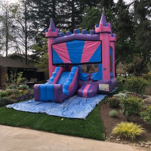 CASTLE COMBO WITH MINI BASKETBALL HOOP