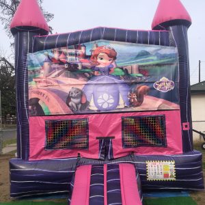 SOFIA THE FIRST BOUNCE HOUSE