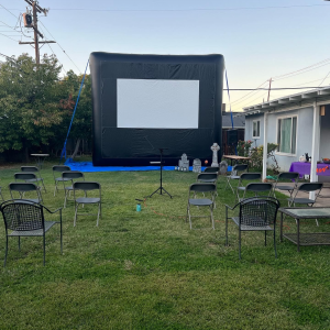 MOVIE SCREEN (RENTAL)