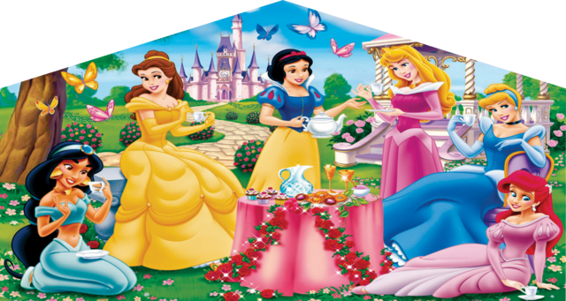 Disney Princess Themed Panel