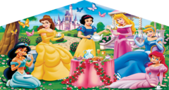 Disney Princess Themed Panel