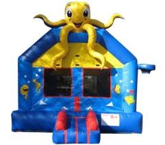 Tampa Bounce House Rental