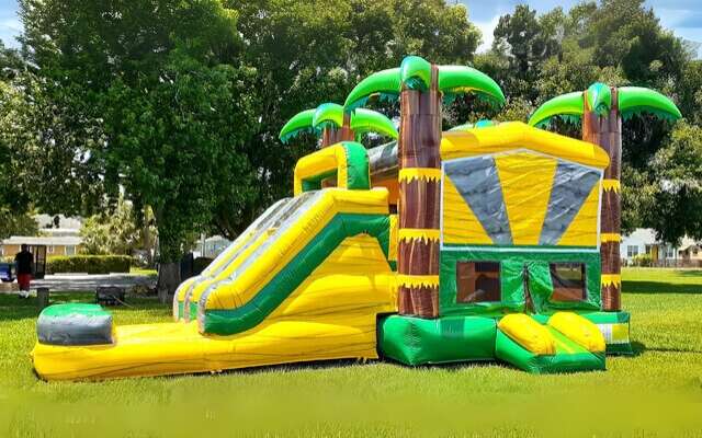 Bounce A Lot Inflatables jumper with slide rental