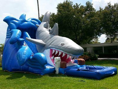 shark mouth water slide