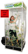 Cash Cube (AKA) Money Machine Blizzard of Bucks