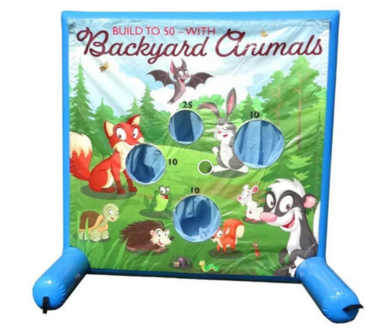 Backyard Target Game