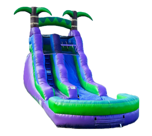 Purple Tropical 16ft Slide
