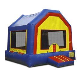Big Blue Bouncer