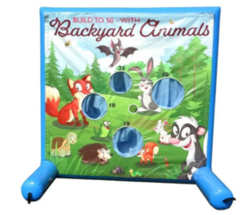 Backyard Target Game