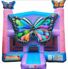  Magical Butterfly Bouncer