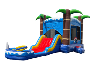 The Ocean Shark Combo