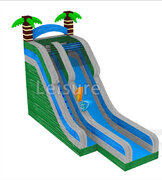 22 Pacific Palms Dry Slide