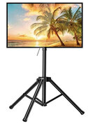65" Monitor on Portable Stand