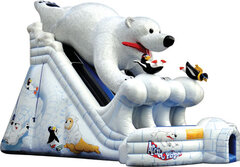 20 Ft Polar Bear Plunge Dual Lane Slide