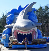 25 Ft Shark Attack Slide