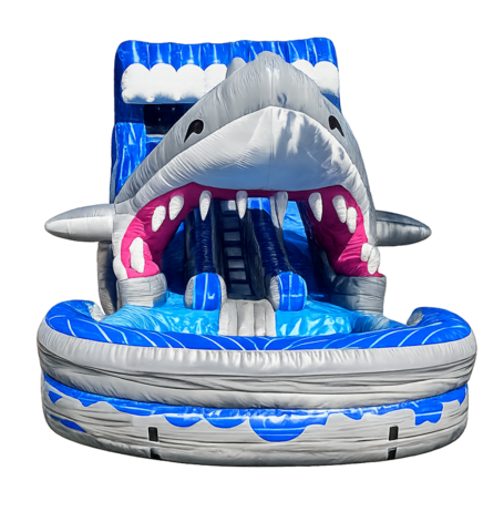 Shark Double Waterslide