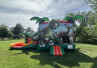 Dinosaur Combo Waterslide