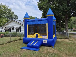Blue and Yellow Bouncer