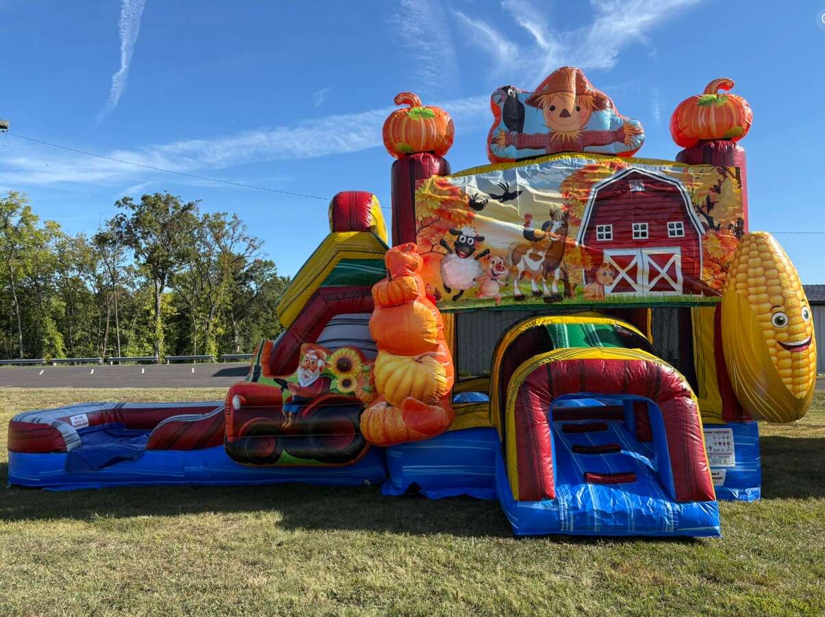 Professional Themed Party Planning