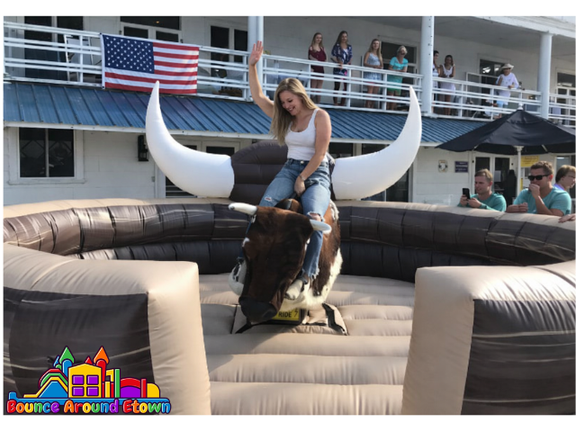 Western Mechanical Bull