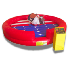 <center>Mechanical Bull<center>