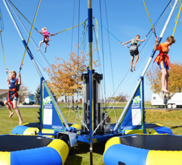 Bungee Trampoline