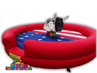<center>Mechanical Bull<center>