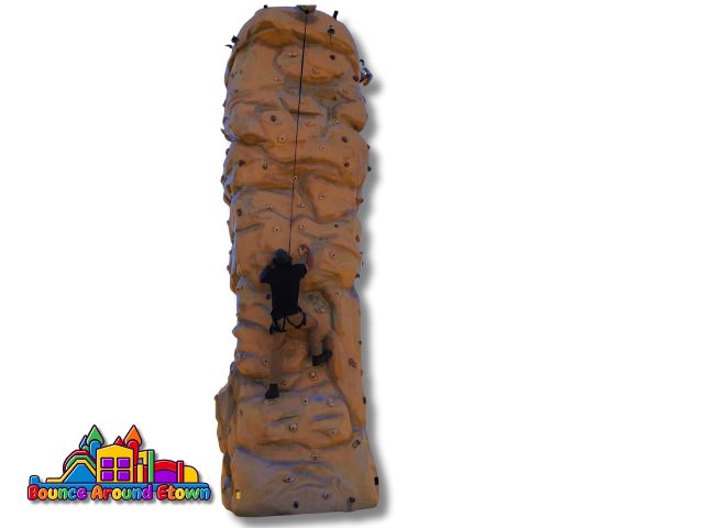 25' Rock Climbing Wall