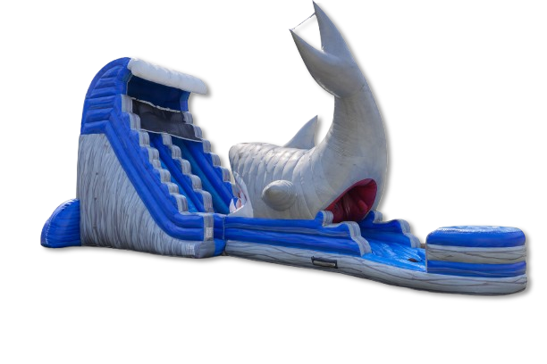 24ft Jaws