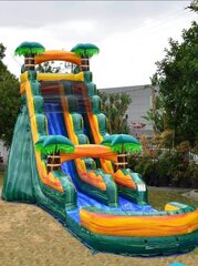 19' Tropical Plunge Water Slide