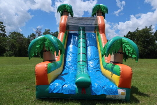 Zoo Rock Wall/Slide 