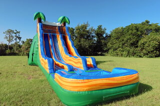 20ft Tropical Slide Dual Lane (Wet or Dry)